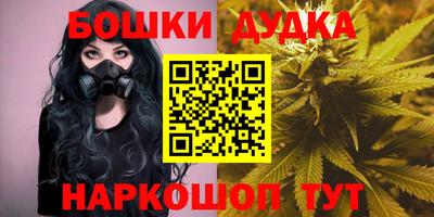 МДПВ Пенза