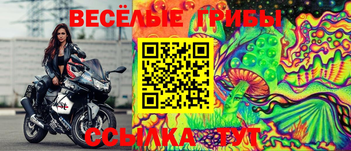 Похвистнево  Галлюциногенные грибы Magic Shrooms  Вход с VPN  Галлюциногенные грибы Cubensis 