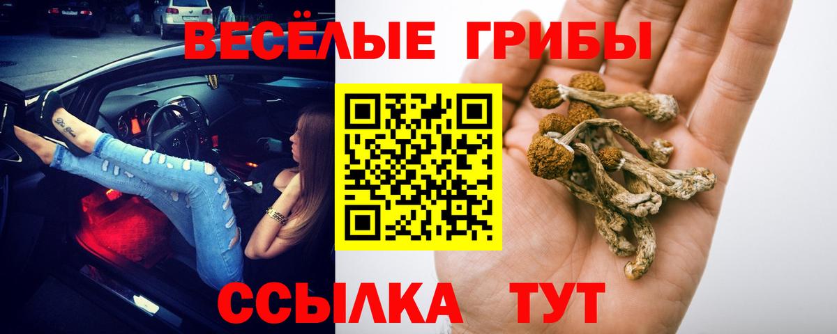 Псилоцибиновые грибы GOLDEN TEACHER Похвистнево